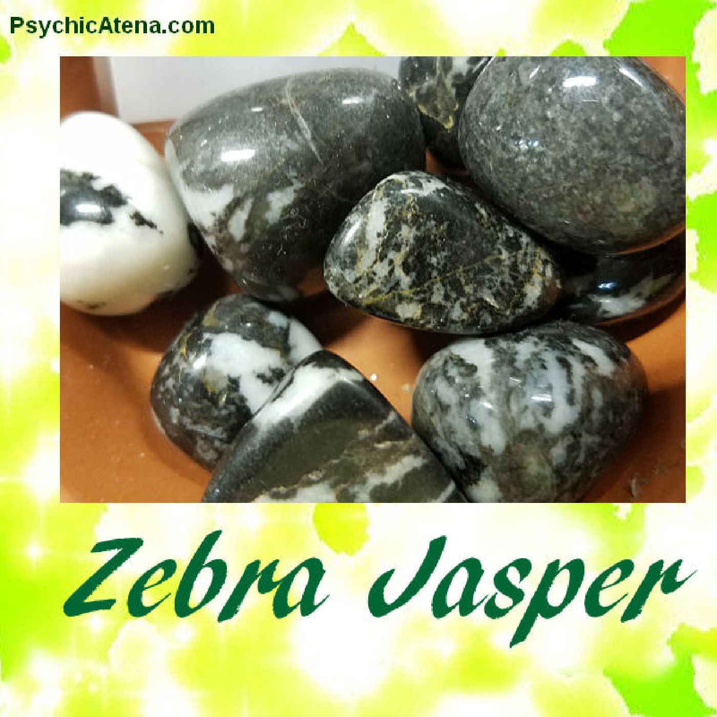 Zebra Jasper